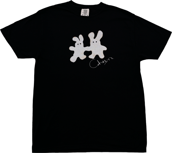 Clairo Charm 限定 ボックスセット CD Tシャツ Merch – Clairo