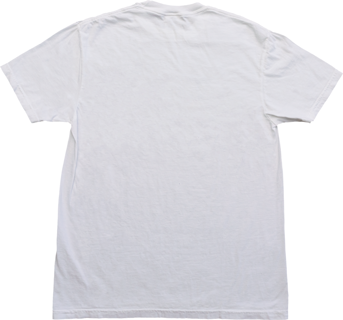 Charm Cat Tee (White) – Clairo