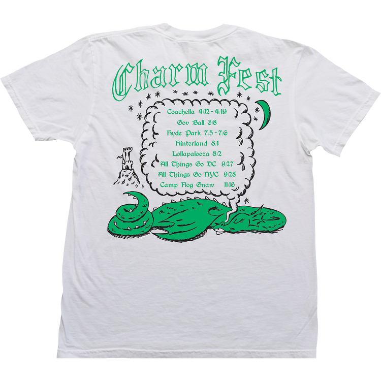 Cairo Tシャツ　Coachella クレイロ　バンドT Cairo Tシャツ Coachella クレイロ バンドT