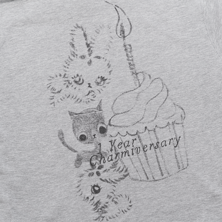 Charm Anniversary Hoodie (Grey)